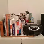 Chambre Chez Le Habitant 282 Rue Lecourbe 75015