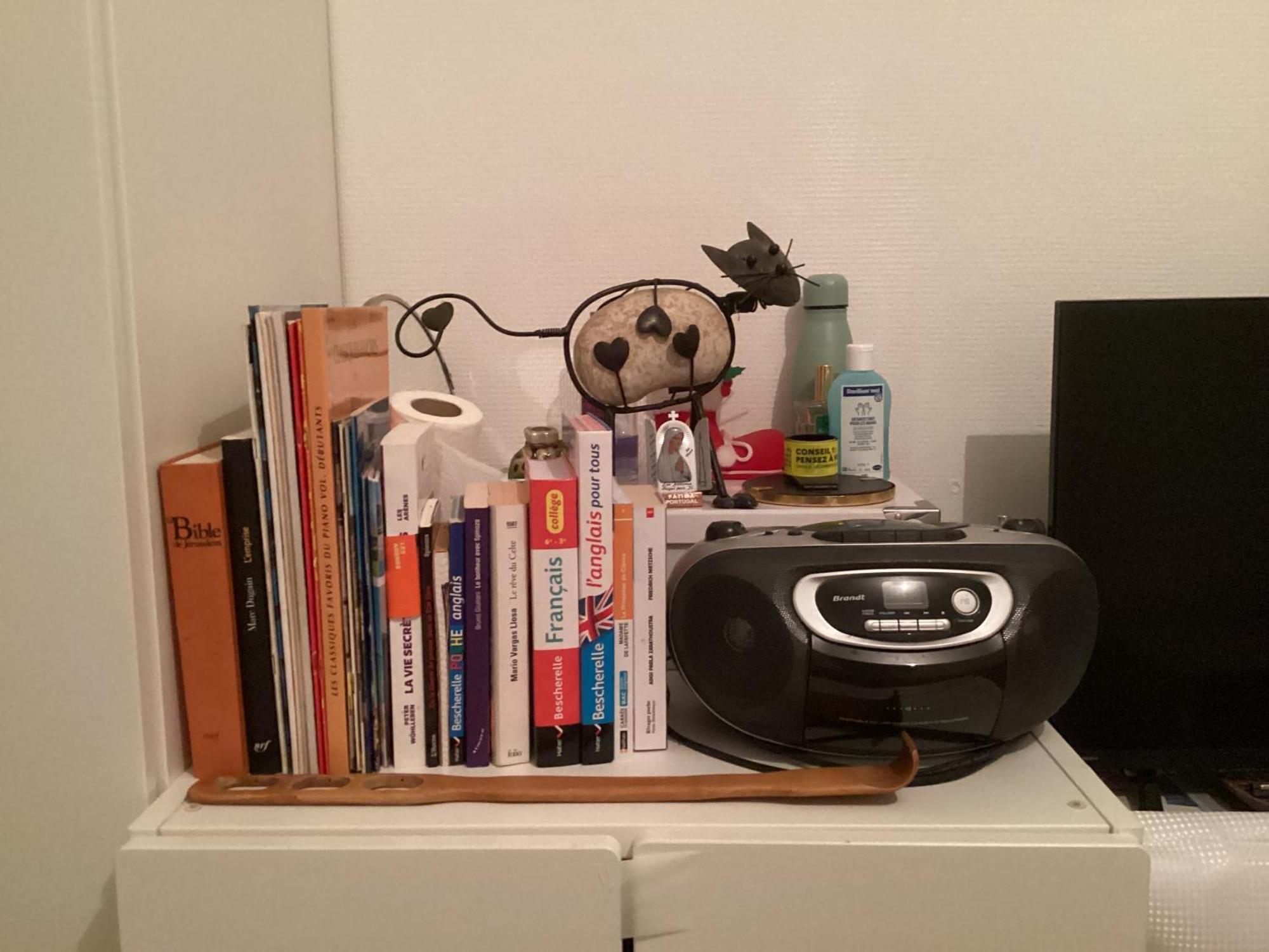 Homestay Chez Le Habitant 282 Rue Lecourbe 75015